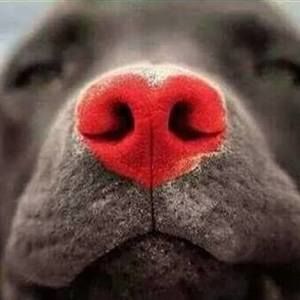 Meet your Posher, Esmeralda